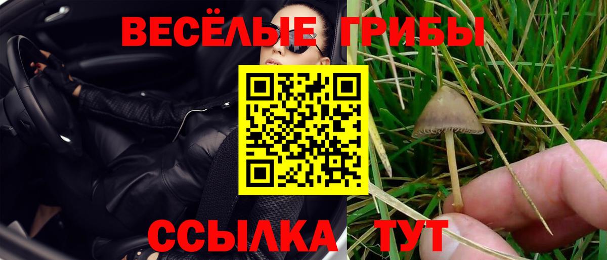 Галлюциногенные грибы мухоморы  Вход с VPN  Семёнов 